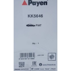 PAYEN  Kk5646 Yağ Pompa Contası Fiat 500 Albea Dobo Egea Firino Punto  İdea Linea Palio Panda Chevrolet Aveo- Cıtroen Nemo- Ford Ka- Lancia Musa-Opel Merivaa-B Corsa E D Combo Astra J Astra H Oem 55265148-55186663-032198-646143-1542692-16119N86J00