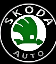 SKODA YEDEK PARÇA