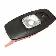 Renault Megane 4-IV Talisman Kadjar Orijinal LED Tavan Aydınlatma Lambası 264307381R